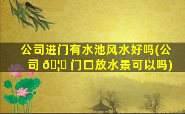 公司进门有水池风水好吗(公司 🦉 门口放水景可以吗)